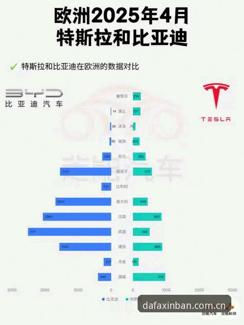 大发官网地址vs其他平台：2025年安全登录体验全面对比